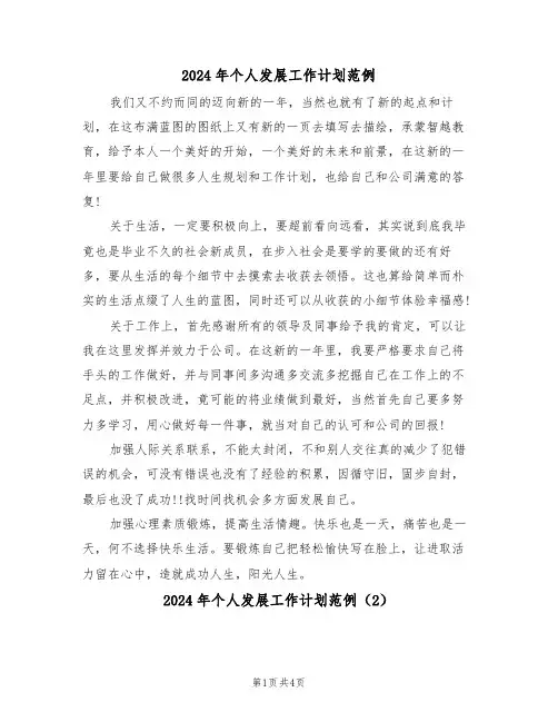 2024年个人发展工作计划范例(3篇)