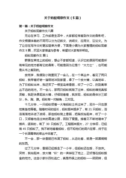 关于蚂蚁观察作文（5篇）