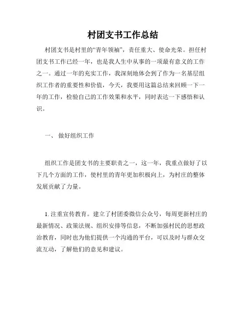 村团支书工作总结