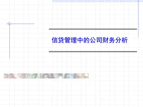 信贷管理中的公司财务分析