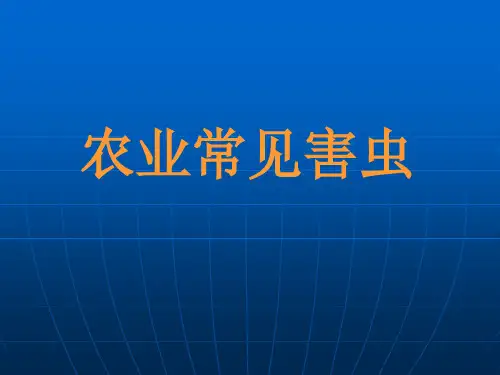 农业常见害虫