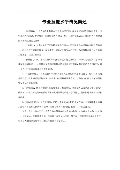 专业技能水平情况简述