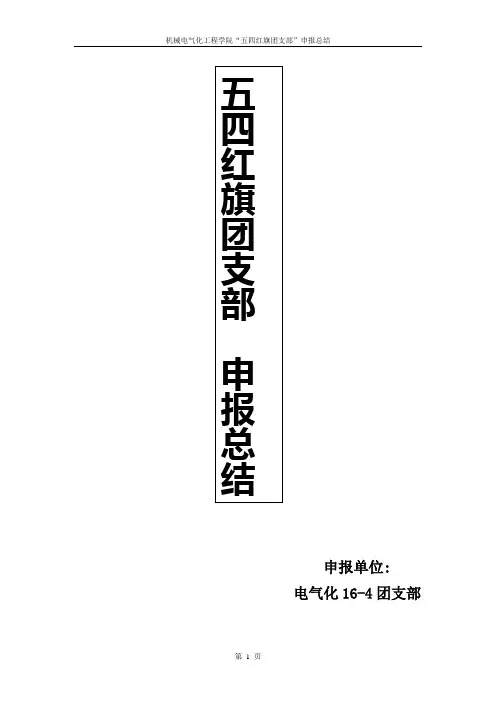 “五四红旗团支部”申报总结