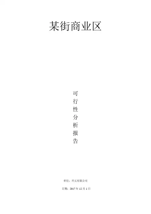 商业可行性报告