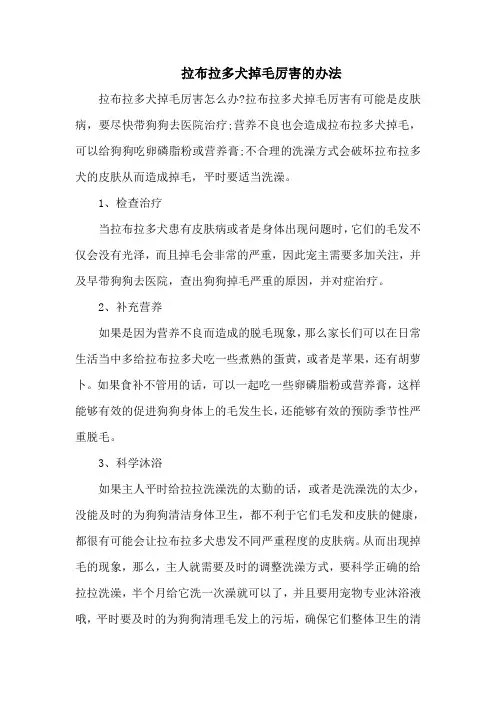 拉布拉多犬掉毛厉害的办法