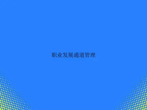 【精选文档】职业发展通道管理PPT