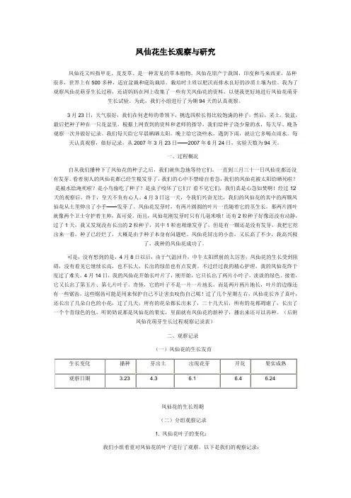 凤仙花生长记录