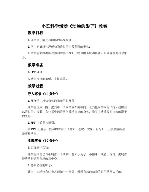 小班科学活动《动物的影子》教案