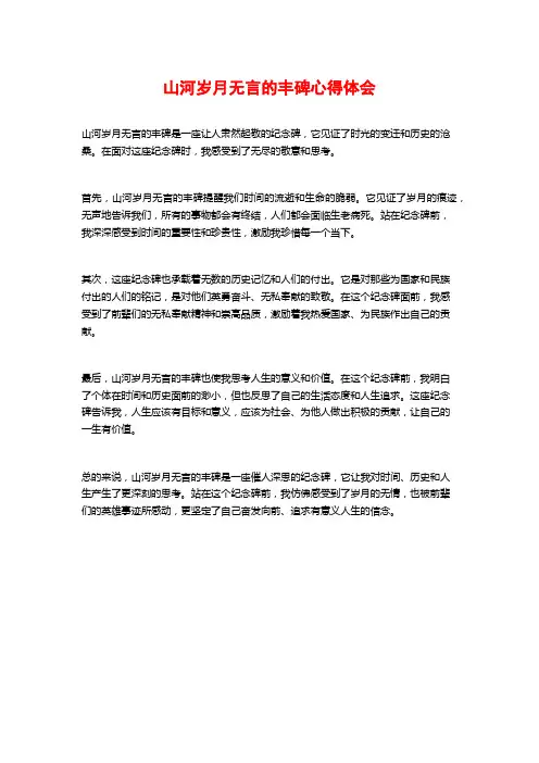 山河岁月无言的丰碑心得体会