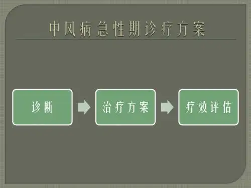 中风期急性期诊疗方案