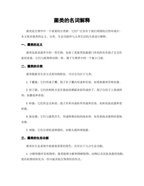 菌类的名词解释