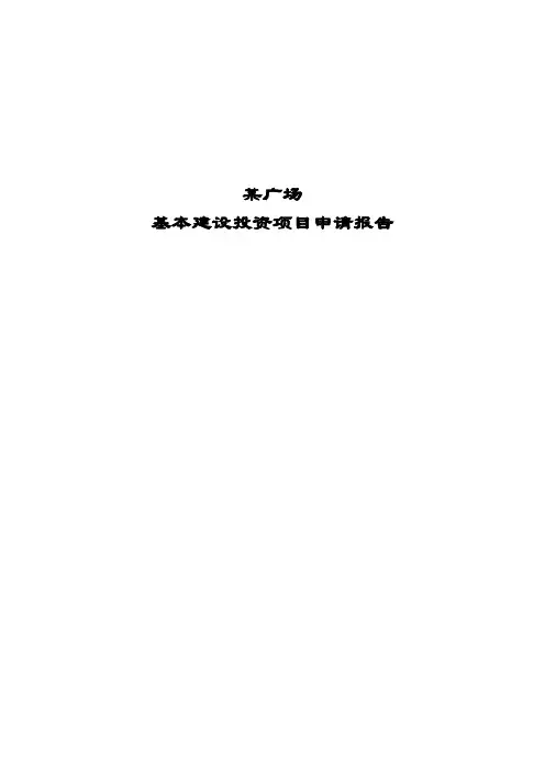 某广场建设项目可行性研究报告