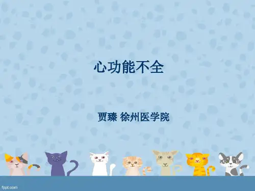 心功能不全