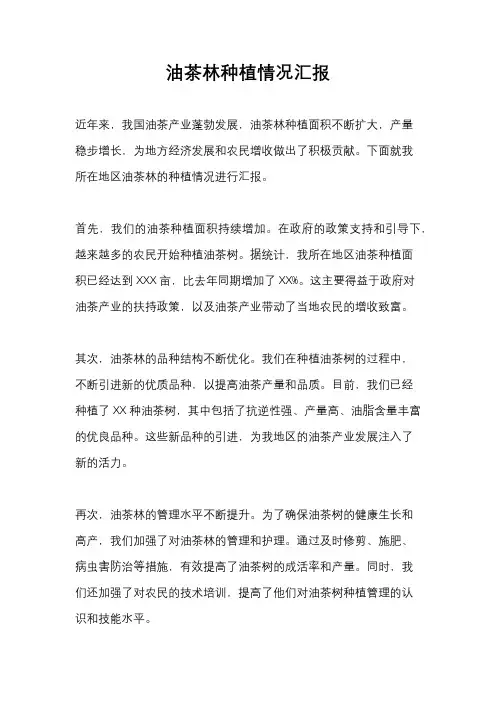 油茶林种植情况汇报