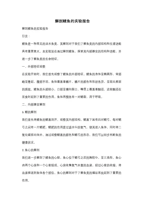 解剖鲤鱼的实验报告