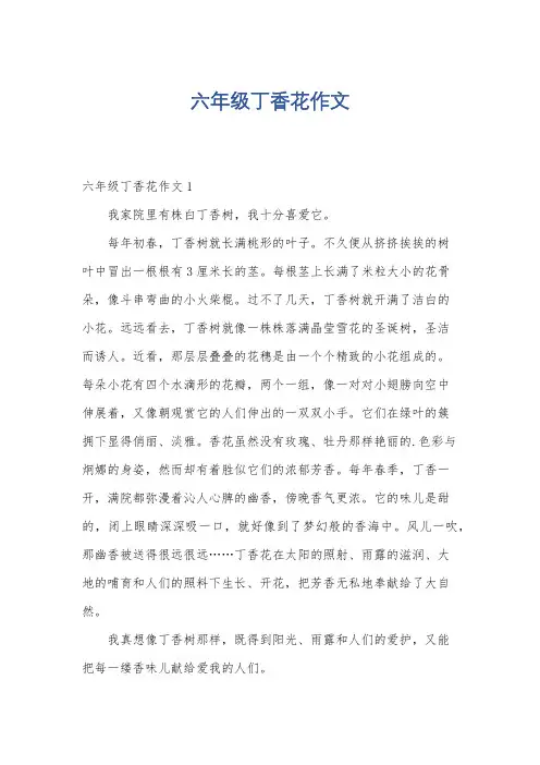 六年级丁香花作文