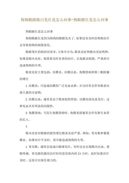 狗狗眼睛眼白发红是怎么回事-狗眼睛红是怎么回事