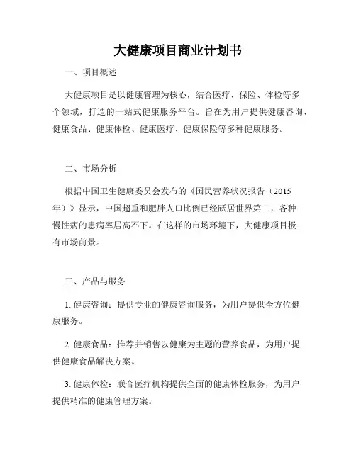 大健康项目商业计划书