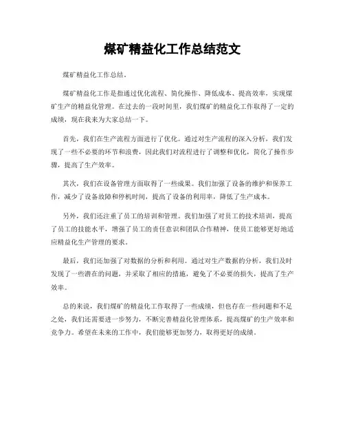 煤矿精益化工作总结范文