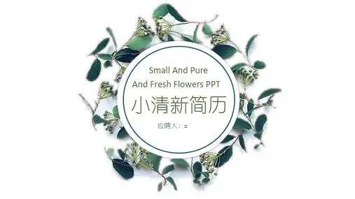 小清新简历应聘人模板PPT(26张)