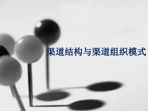 渠道结构与渠道组织模式
