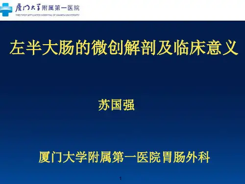 左半结肠的微创解剖及临床意义PPT课件