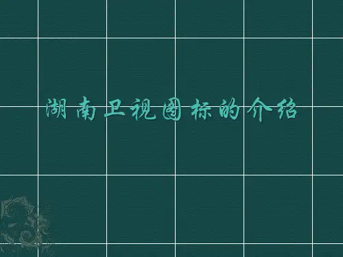 湖南卫视图标的介绍