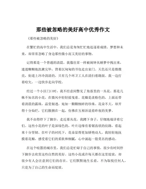 那些被忽略的美好高中优秀作文