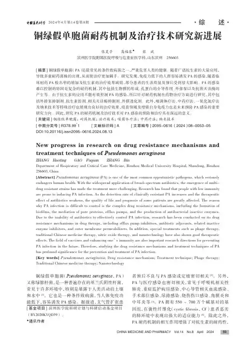 铜绿假单胞菌耐药机制及治疗技术研究新进展