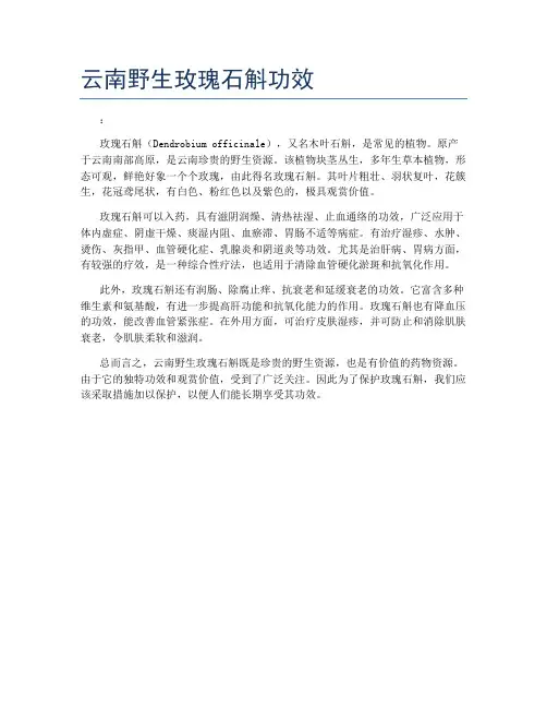云南野生玫瑰石斛功效