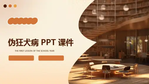 伪狂犬病ppt课件