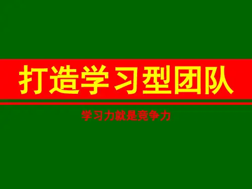 如何打造学习型团队(PPT 页)