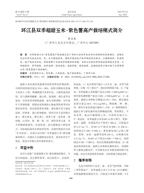环江县双季超甜玉米-紫色薯高产栽培模式简介