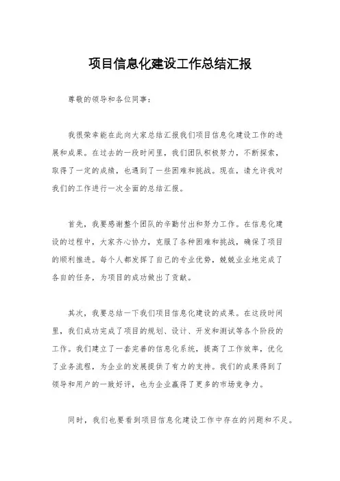 项目信息化建设工作总结汇报