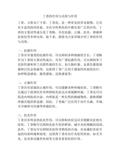 丁香的作用与功效与作用