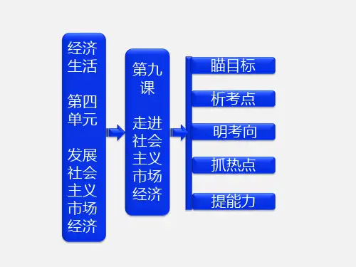 高考政治 一轮复习 第第九课 走进社会主义市场经济