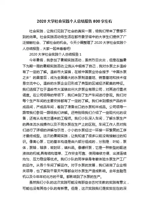 2020大学社会实践个人总结报告800字左右