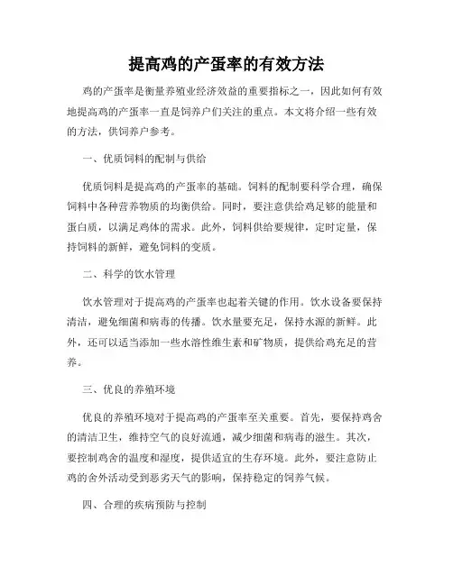 提高鸡的产蛋率的有效方法