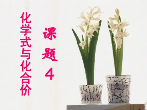 4.4.2化合价与化学式第三课时