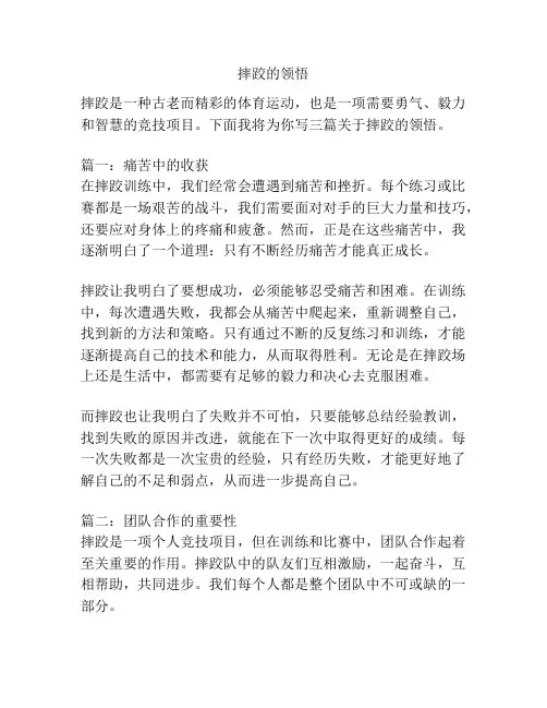摔跤的领悟