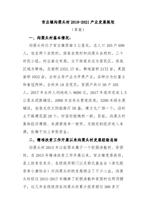 村级2019-2021产业发展规划