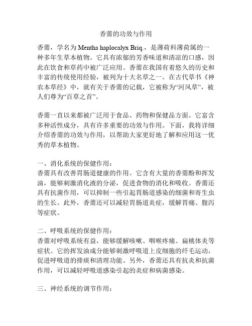 香薷的功效与作用