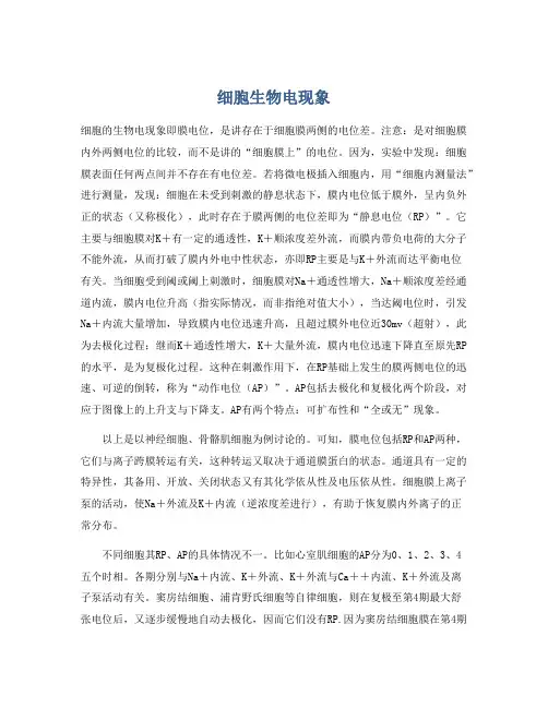 细胞生物电现象