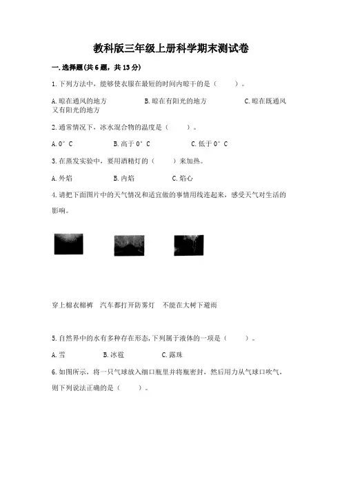 教科版三年级上册科学期末测试卷附参考答案(满分必刷)