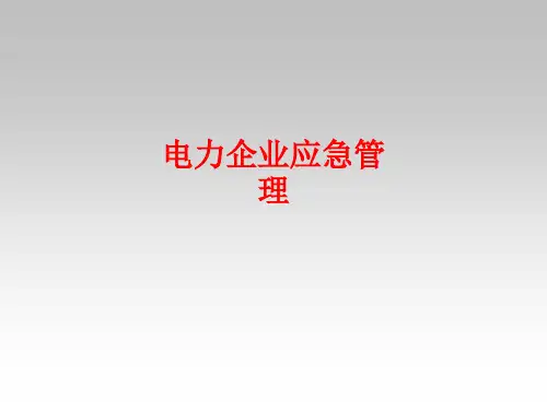 [课件]电力企业应急管理PPT