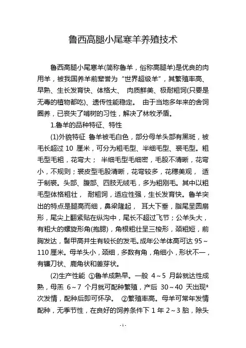 鲁西高腿小尾寒羊养殖技术