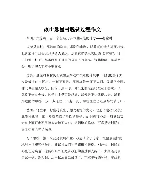 凉山悬崖村脱贫过程作文