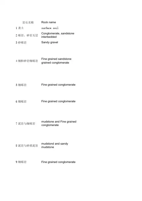 (4)地形地质图