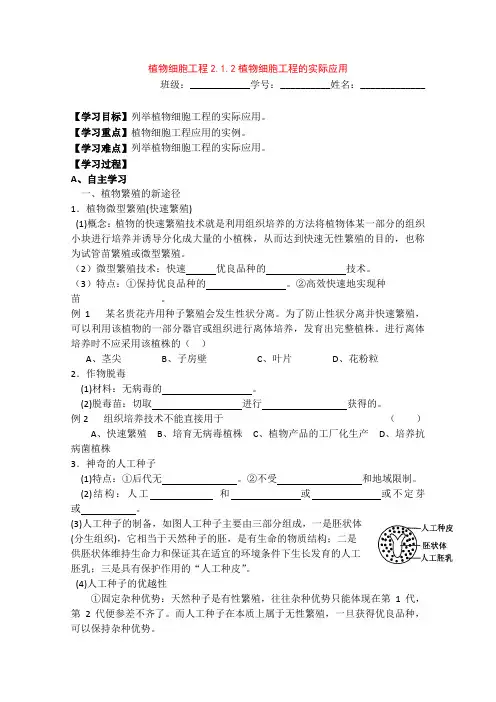 高中生物学案2.1.2《植物细胞工程的实际应用》(新人教版选修3)