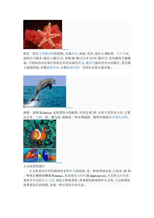 海洋生物介绍